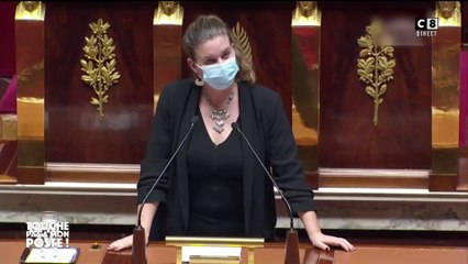 Un député traite de "poissonnière" une opposante : doit-il être sanctionné ?