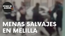 Menas salvajes en Melilla