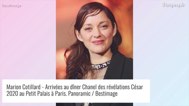 Marion Cotillard, Lucie Lucas, Juliette Binoche... les stars célèbrent une victoire historique