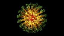 “COVID largo”: el misterioso efecto que deja el virus en las personas contagiadas