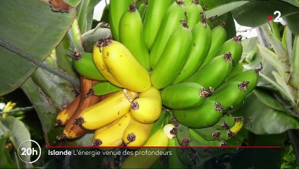 Islande : de l’énergie puisée dans les trésors des profondeurs