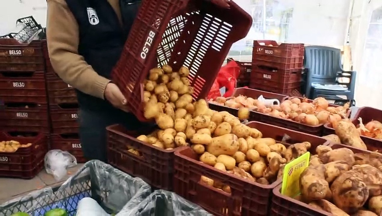 Vatandaş 'Tanzim satış noktaları' ile nefes aldı! Piyasada fiyatlar yarı yarıya düştü
