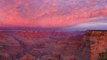 PINK SNAKES! Weird things about the Grand Canyon - ABC15 Digital