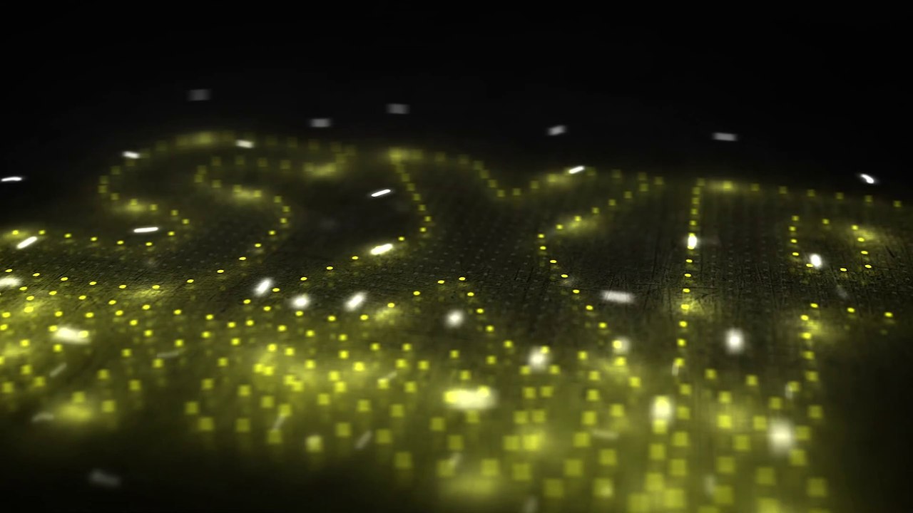 Sxp network offizielles intro (2021)