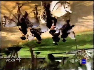 -TVE INTERNACIONAL - ULTIMOS ANUNCIOS DEL ANO 1999- -1--
