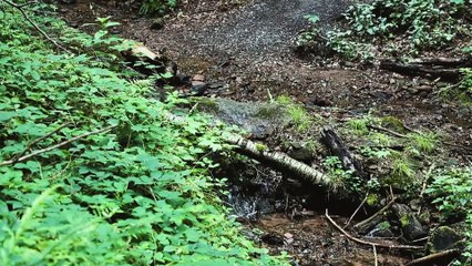 Travel Guide Heidelberg,Germany -Place4You