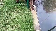 ミッション
