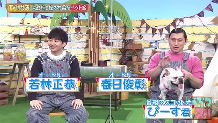 お笑い 動画 | お笑い動画チャンネル - どうぶつピース    動画　9tsu  2021年02月05日