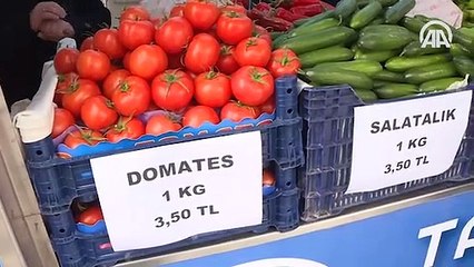 Mobil tanzim satışı başladı
