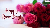 Happy Rose Day 2021 Greetings: WhatsApp Messages, Wishes, Quotes and Images To Send on February 7
