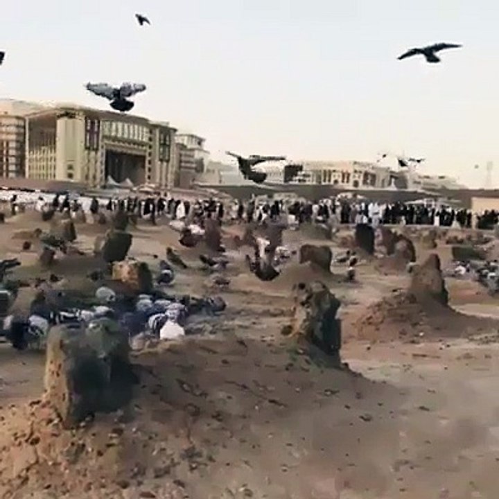 اللهم_اغفر_لأهل_البقيع_و_اجمعنا_بهم_في_الجنة_اللهم_ارزقنى_الدفن_في_البقيع