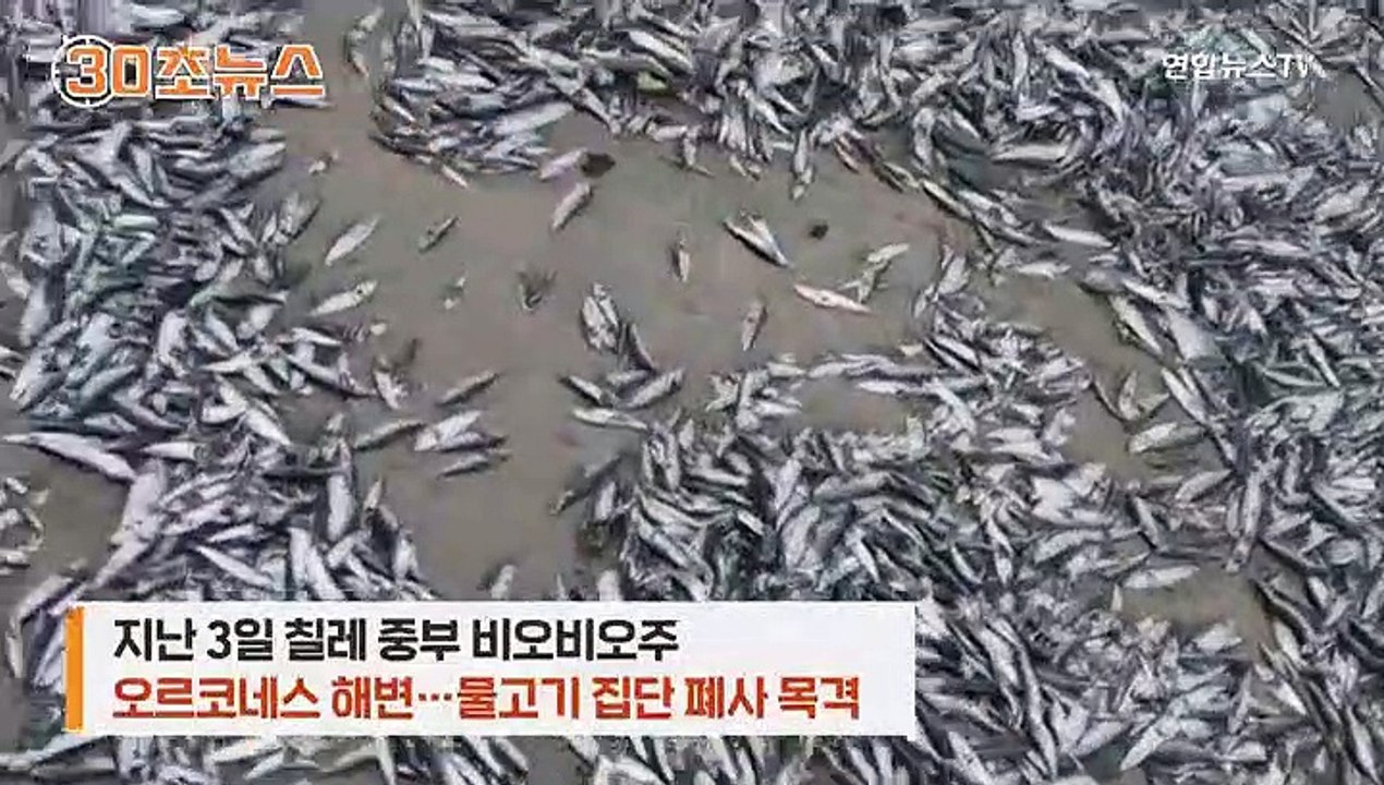[30초뉴스] 칠레 모래해변에 무슨 일이?…물고기 집단 폐사