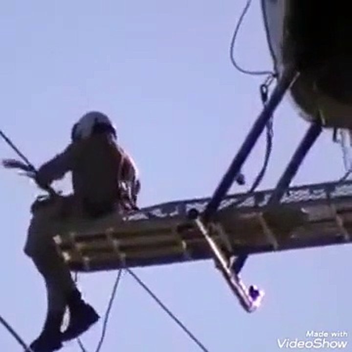 Rescue Operation for bird