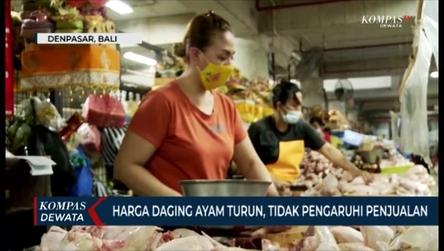 Harga Ayam Turun Drastis, Tapi Sepi Pembeli
