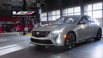 2022 Cadillac V-Series Blackwing full Reveal