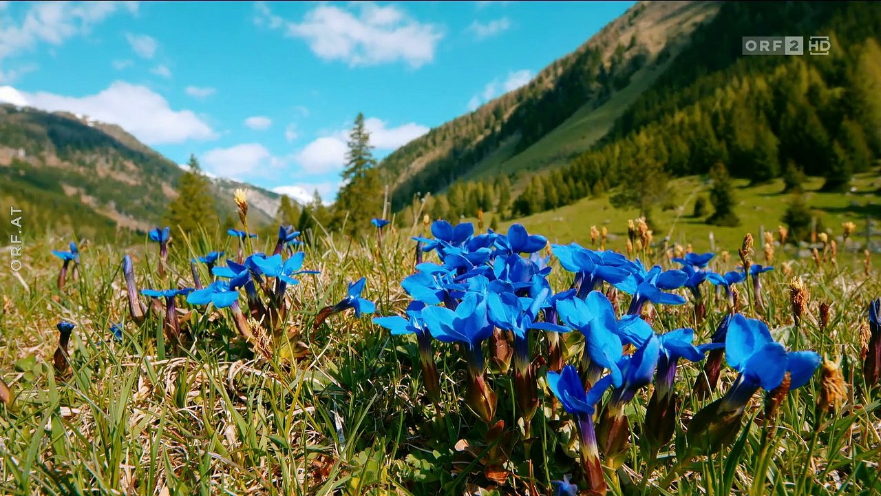Lungau - Wildnis im Herzen der Tauern