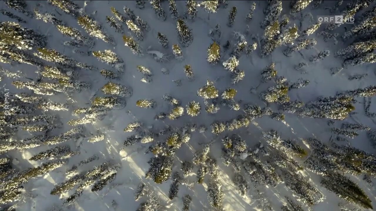 Norwegen - Die sagenhafte Welt der Lemminge