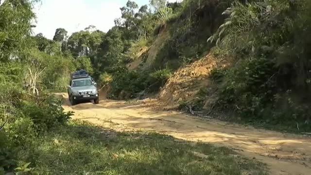 La lista de animales más diminutos del planeta tiene un nuevo líder