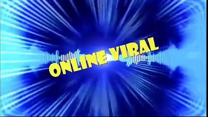 perros y un gato con manos humanas disfrutando de cena navideña