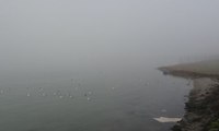 Çanakkale Boğazı yoğun sis nedeniyle trafiğe kapandı
