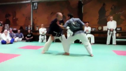 Hyori no kata IBA 2017