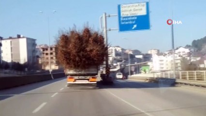 Seyyar ormanı andıran kamyon görenleri şaşırttı