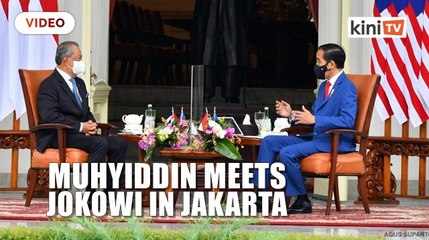 'M'sia will continue to cooperate with Indonesia on palm oil discrimination'