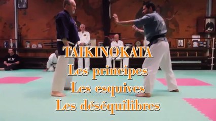 Taiki no kata IBA