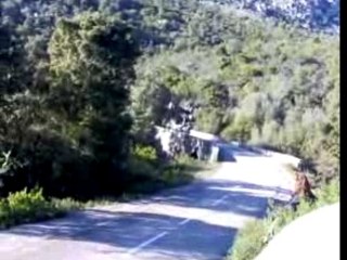 rallye de sartene 2008