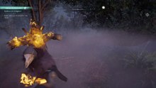 Assassin's Creed Valhalla Bug