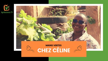 Mains vertes : Chez Céline