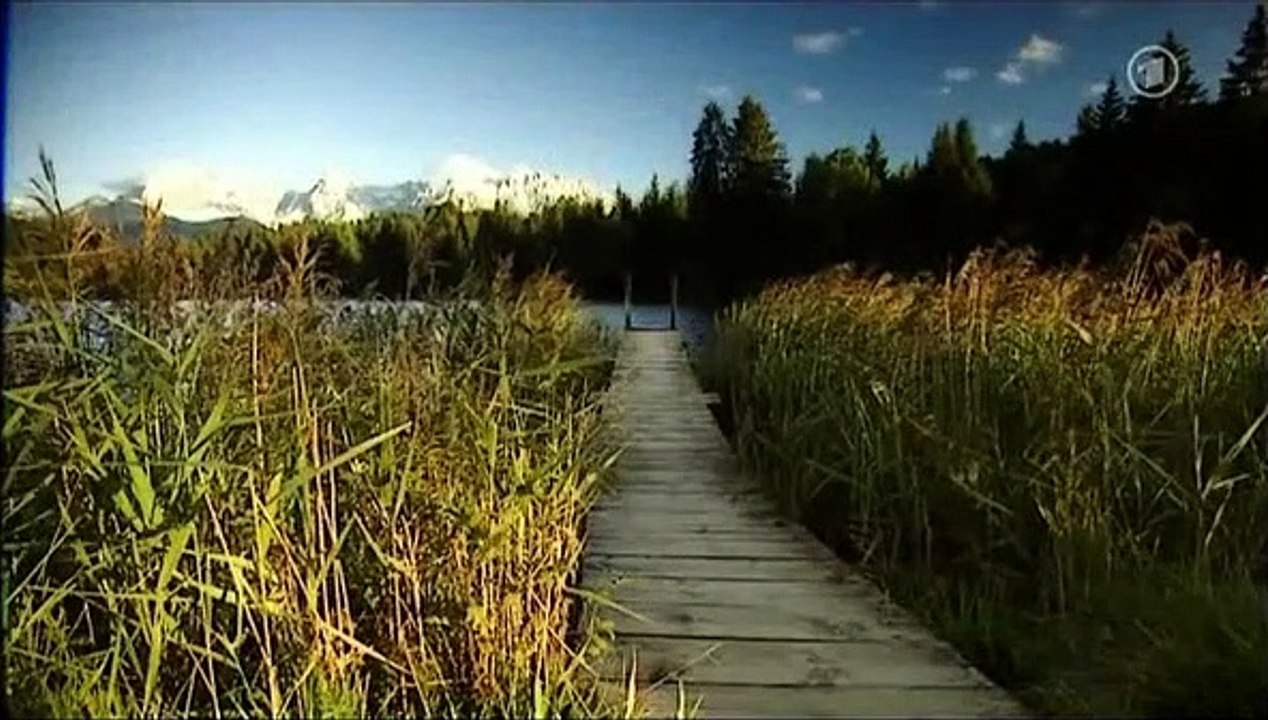 Sturm der Liebe, Folge 712 2/5