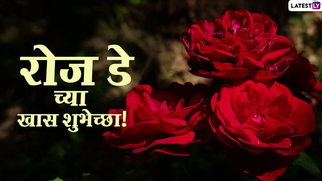 Happy Rose Day Wishes In Marathi: रोज डे च्या शुभेच्छा WhatsApp Status, HD Image, Facebook Messages