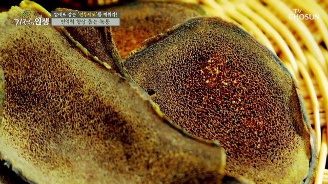 면역력 향상을 돕는 「녹용」 부위별 효능은? TV CHOSUN 20210206 방송