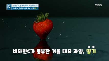 비타민C의 여왕! 겨울 대표 과일 딸기 대백과 사전!