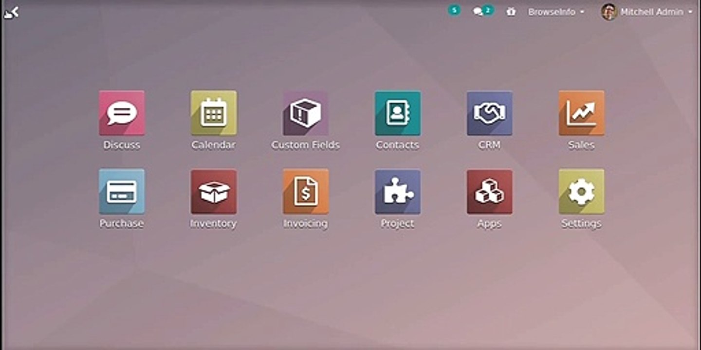 How to Add Global Custom Fields and Tabs to any Object  | Odoo Apps Features