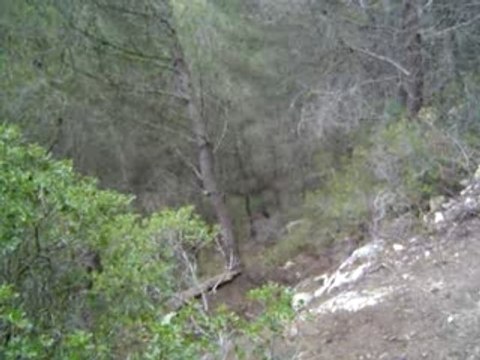 BRICE NOUVEAU DEPART TOBOGGANS