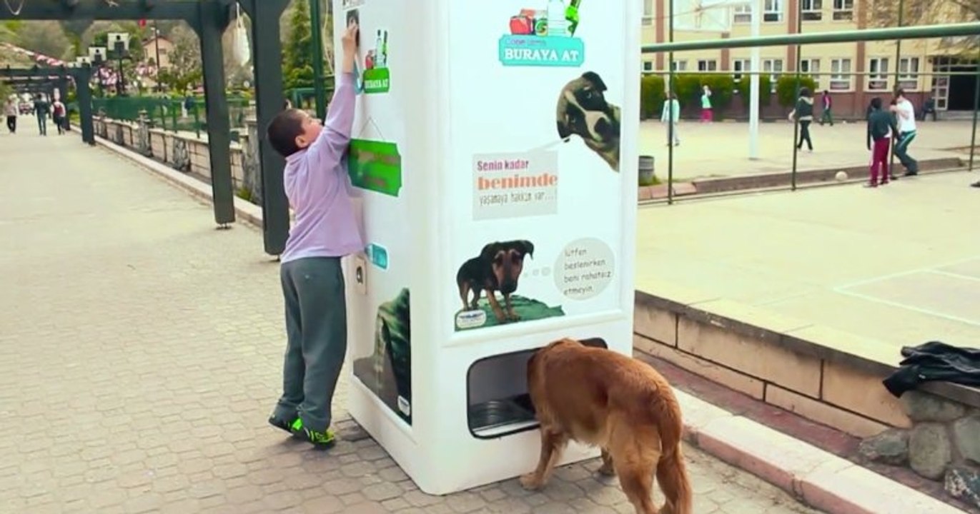 Istanbul : cette machine donne de la nourriture aux chiens errants en échange de bouteilles en plastique