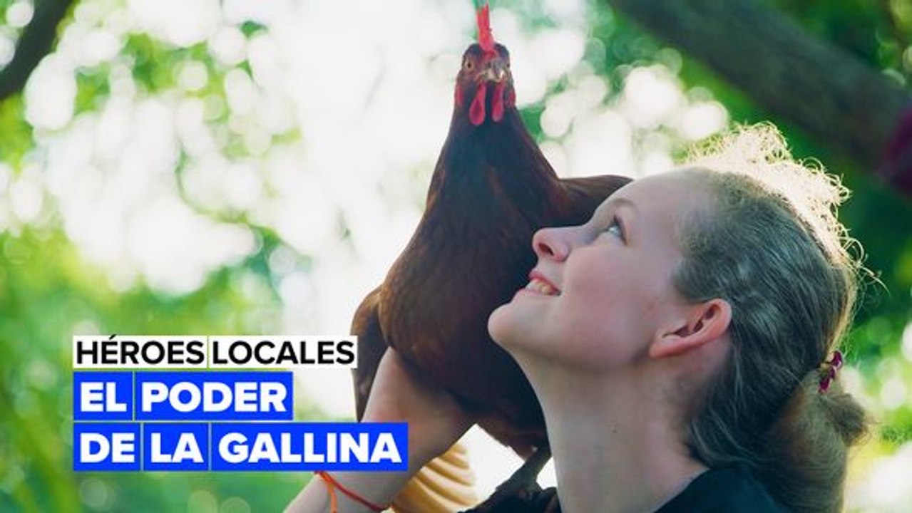 Héroes locales: el poder de la gallina