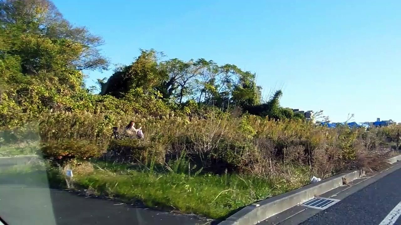 More Driver Craziness in Japan