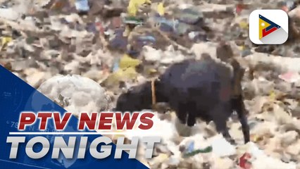 Decaying food, used diaper illegally dumped in Sta. Ana, Pampanga