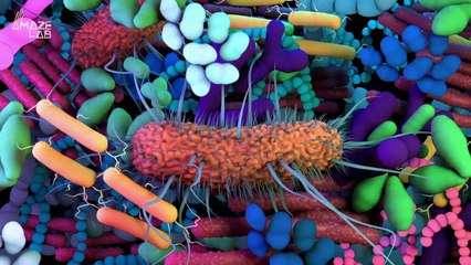 Neanderthal Poo Could Get Modern-Day Human Gut Microbiomes Back On Track