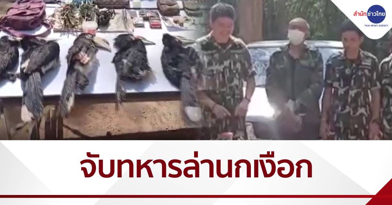 จับพันจ่าเอกล่านกเงือก ปืน ยา เพียบ