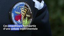 En Bretagne, des gendarmes traquent les bandits de l'environnement