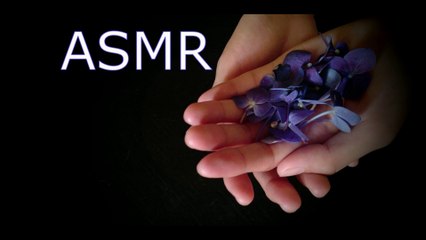 ♡ ASMRapresentando o ASMRsom de fogueiratuctuc binauralpersonal attentionMULTICAMADAS♡arrepios