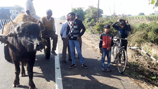 गाय की टक्कर से कार खाई में पलटी, तीन घायल