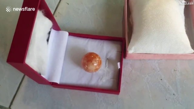 Ce pêcheur Thaïlandais découvre une perle orange d'une valeur de 340.000$