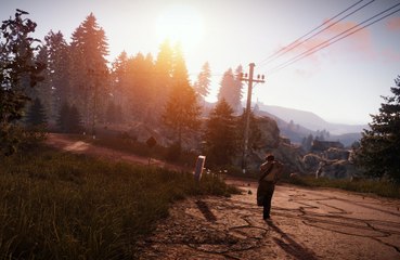 A ‘softcore’ mode is being added to ‘Rust’