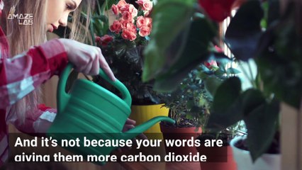 Talking to Plants: Will It Help Them Grow Faster?