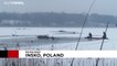 Польские пожарные спасли провалившихся под лед оленей